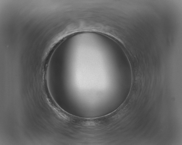 X0000060571507200511031256