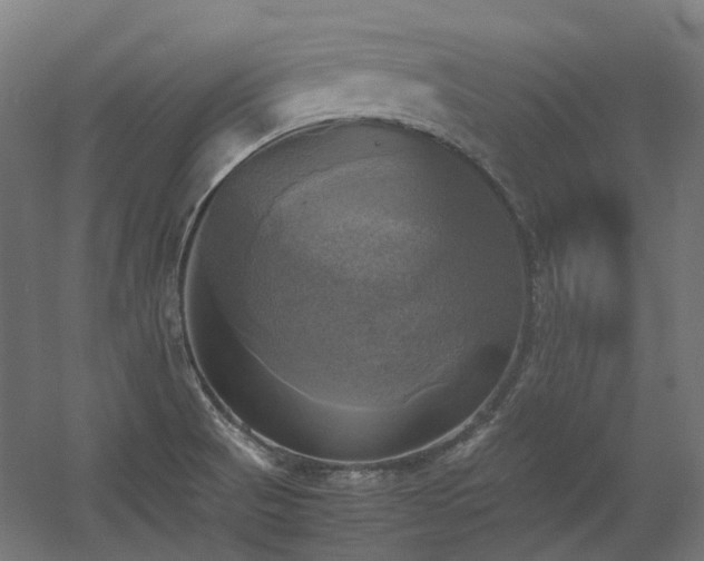 X0000060571521200511031256