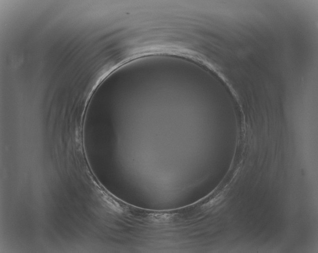 X0000060571529200511031256