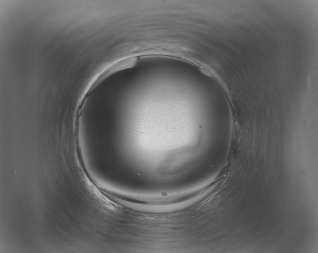 X0000060571532200511031256
