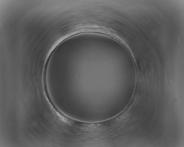 X0000060571533200511031256