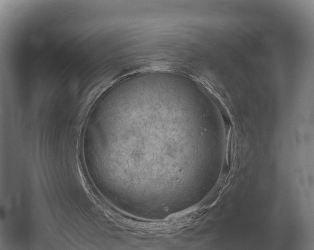 X0000060570001200511071031