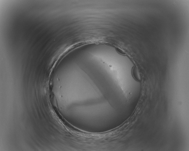 X0000060570002200511071031