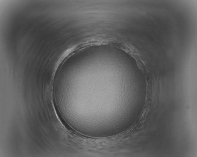 X0000060570003200511071031