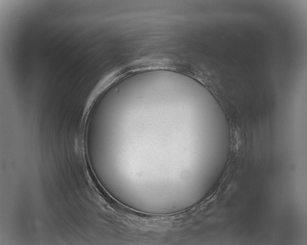 X0000060570004200511071031