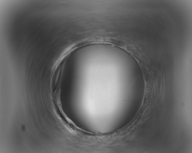 X0000060570005200511071031