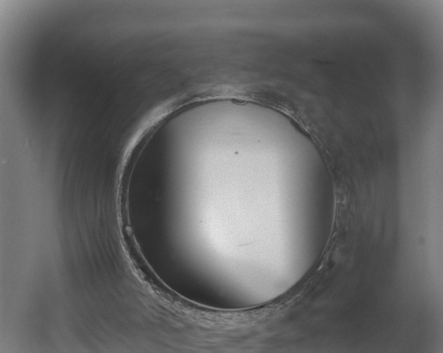 X0000060570006200511071031