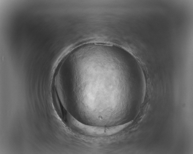 X0000060570007200511071031