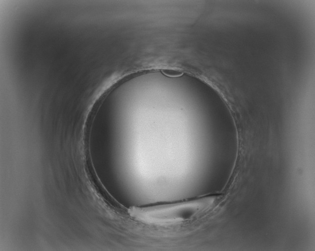 X0000060570008200511071031