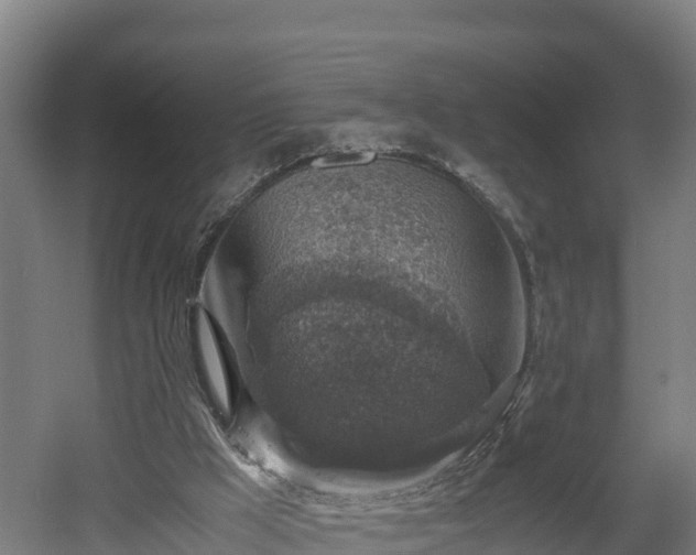 X0000060570009200511071031