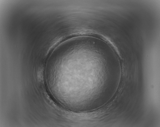 X0000060570010200511071031