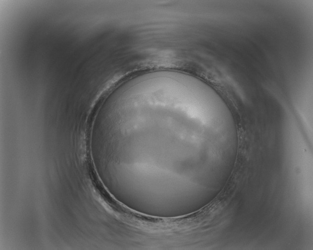 X0000060570012200511071031