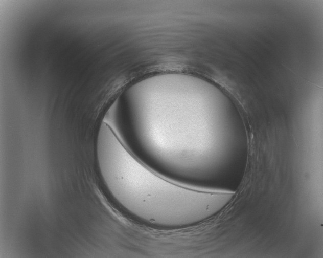 X0000060570013200511071031