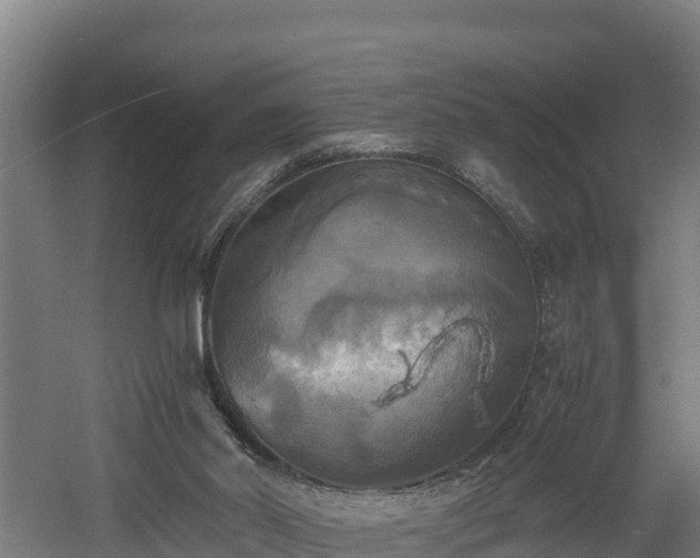 X0000060570014200511071031