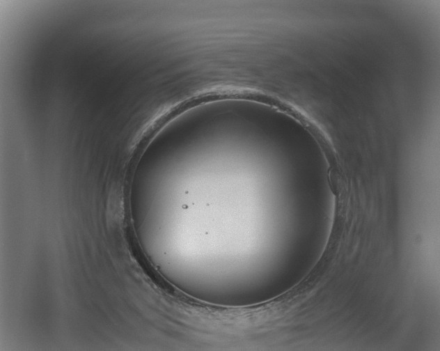 X0000060570015200511071031