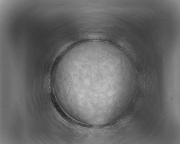 X0000060570016200511071031