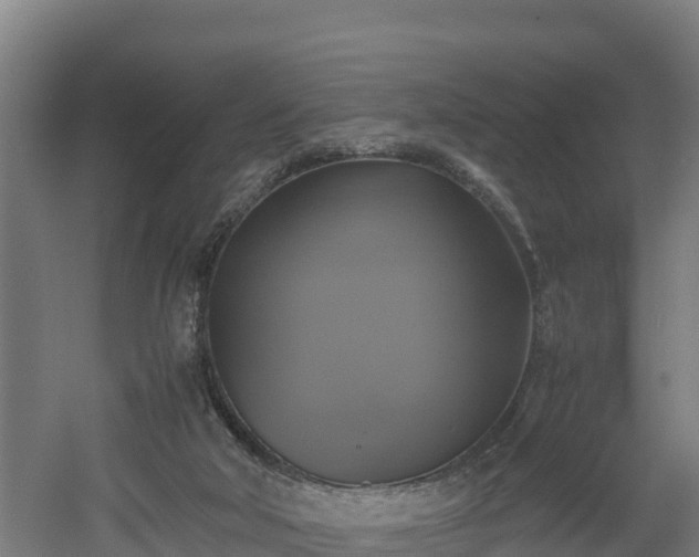 X0000060570018200511071031