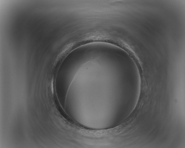 X0000060570019200511071031