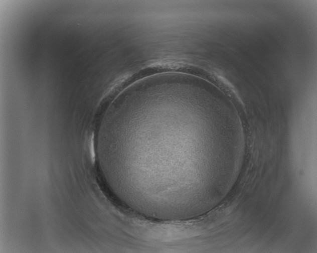 X0000060570020200511071031