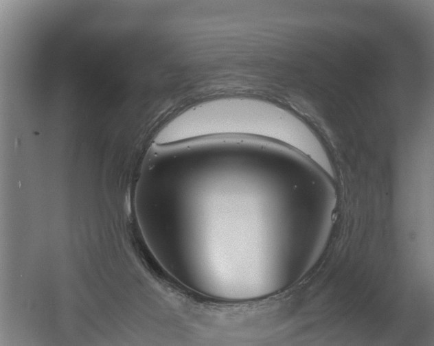 X0000060570021200511071031