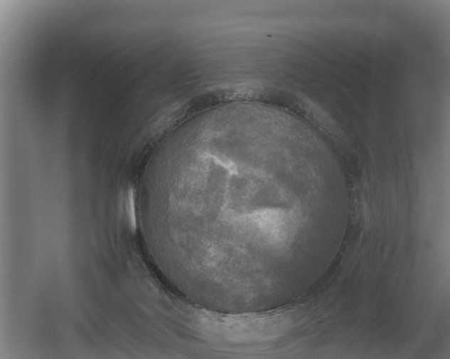 X0000060570022200511071031