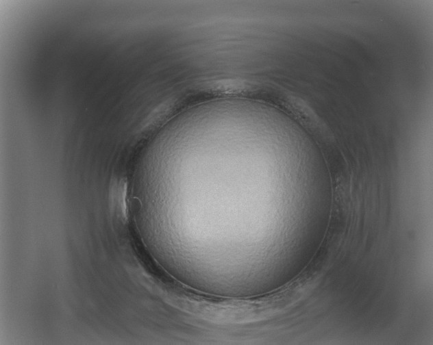 X0000060570024200511071031