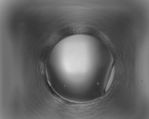 X0000060570025200511071031