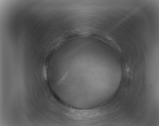 X0000060570026200511071031