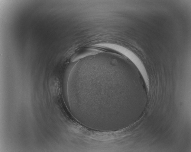 X0000060570029200511071031