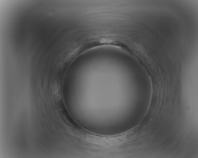 X0000060570031200511071031