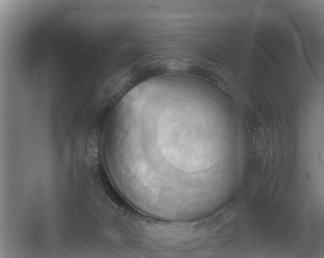 X0000060570032200511071031