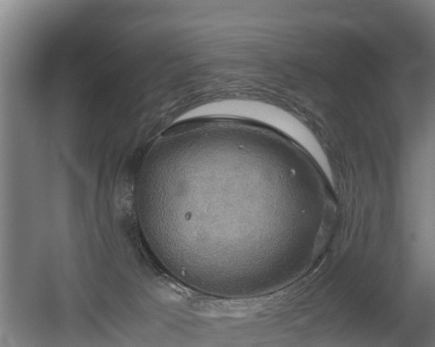 X0000060570033200511071031