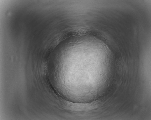 X0000060570034200511071031