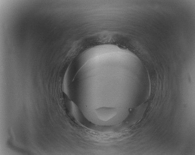 X0000060570035200511071031