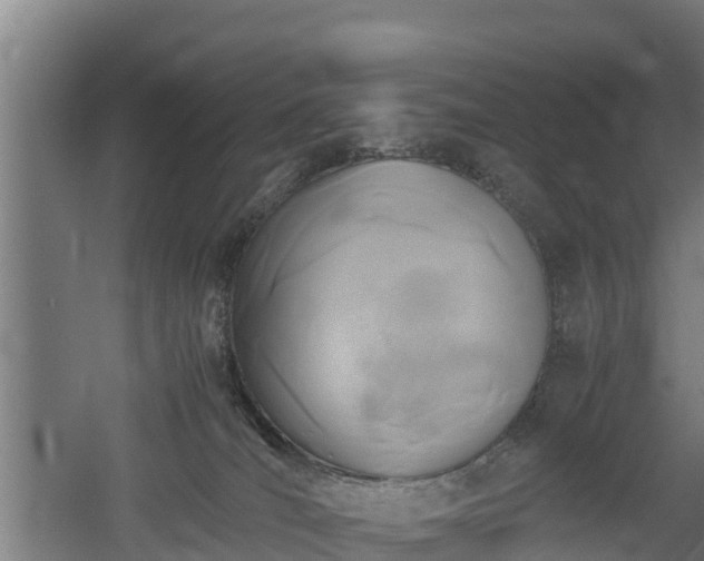 X0000060570036200511071031