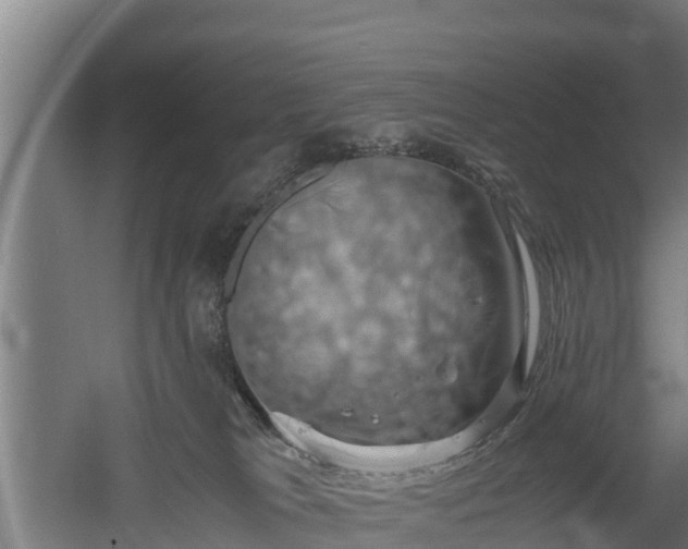 X0000060570037200511071031