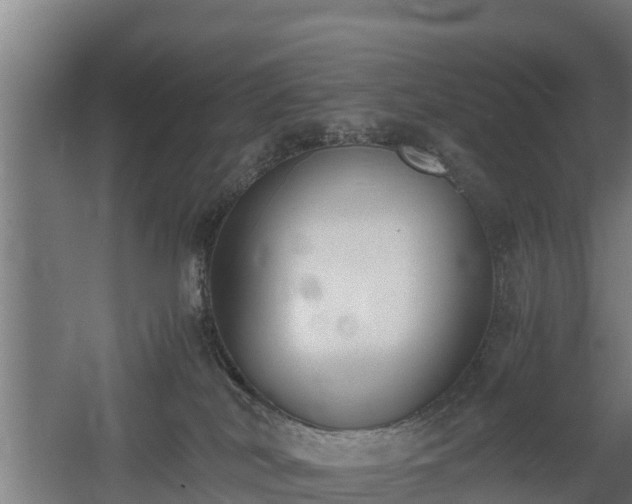 X0000060570038200511071031