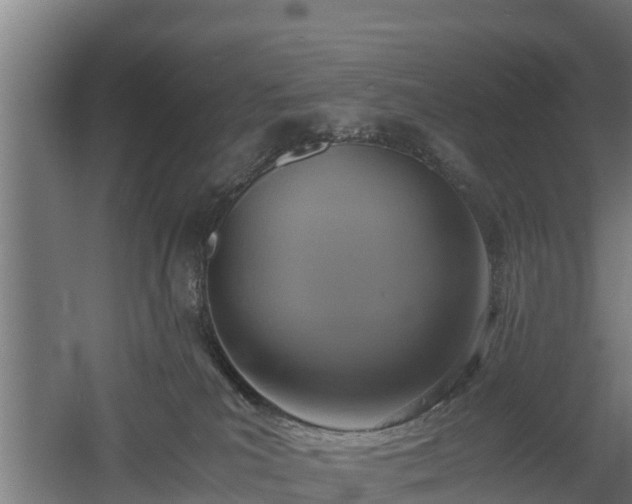 X0000060570039200511071031