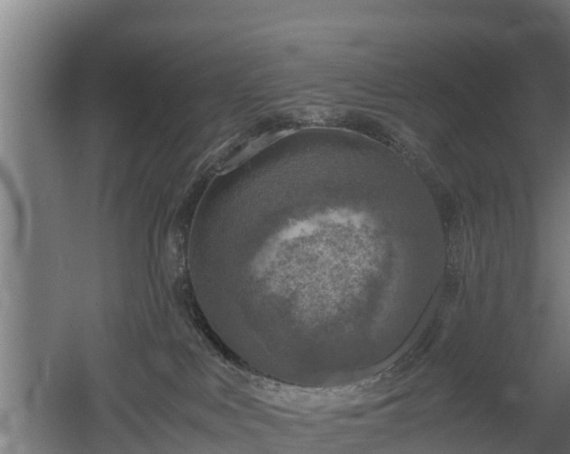 X0000060570043200511071031