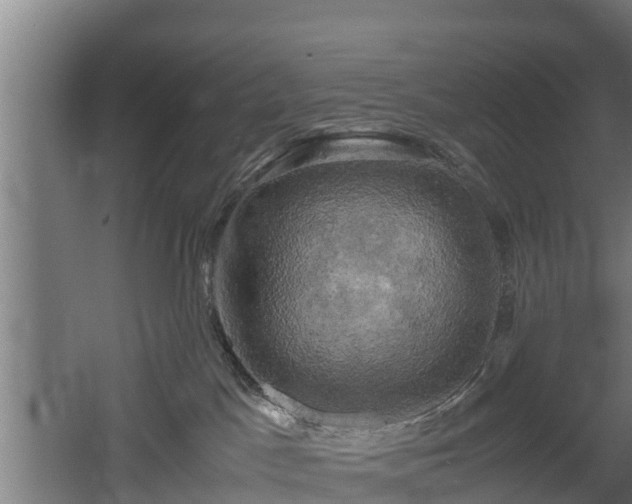 X0000060570045200511071030