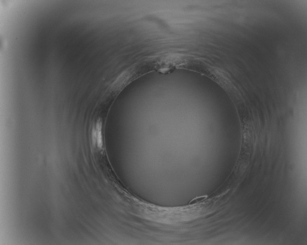 X0000060570046200511071030