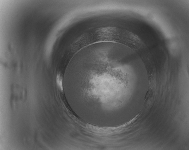 X0000060570047200511071030