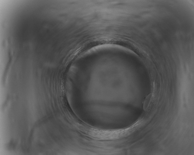 X0000060570048200511071030