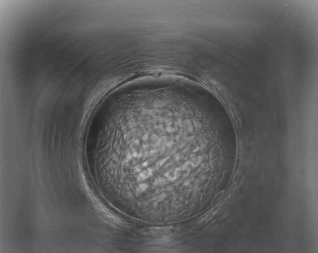 X0000060570049200511071030