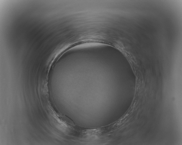 X0000060570050200511071030