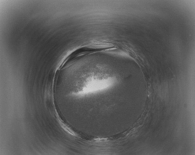 X0000060570052200511071030