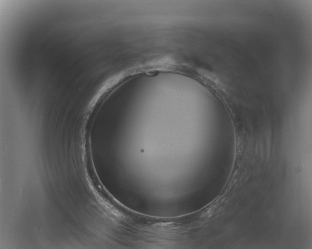 X0000060570054200511071030