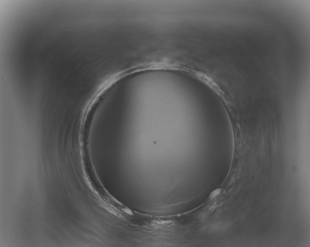 X0000060570055200511071030