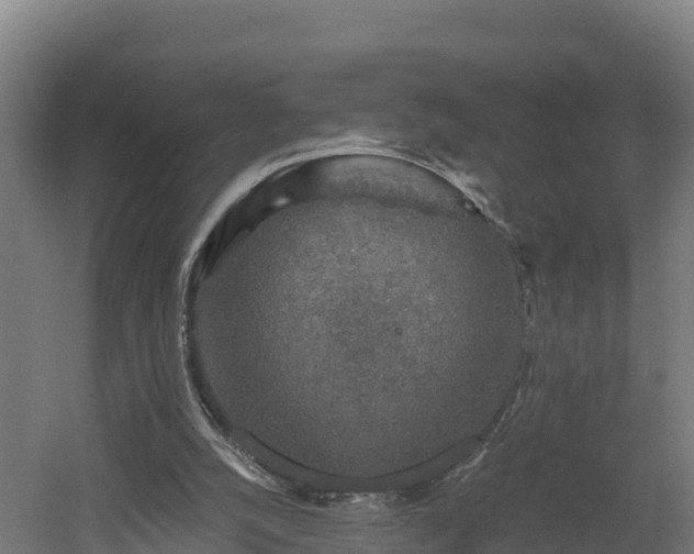 X0000060570056200511071030