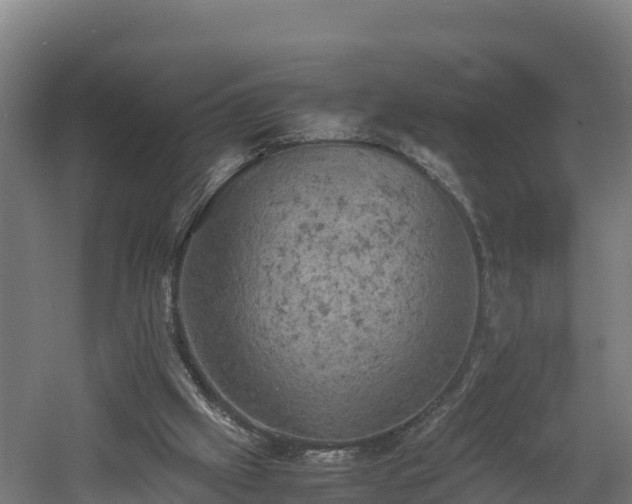 X0000060570057200511071030